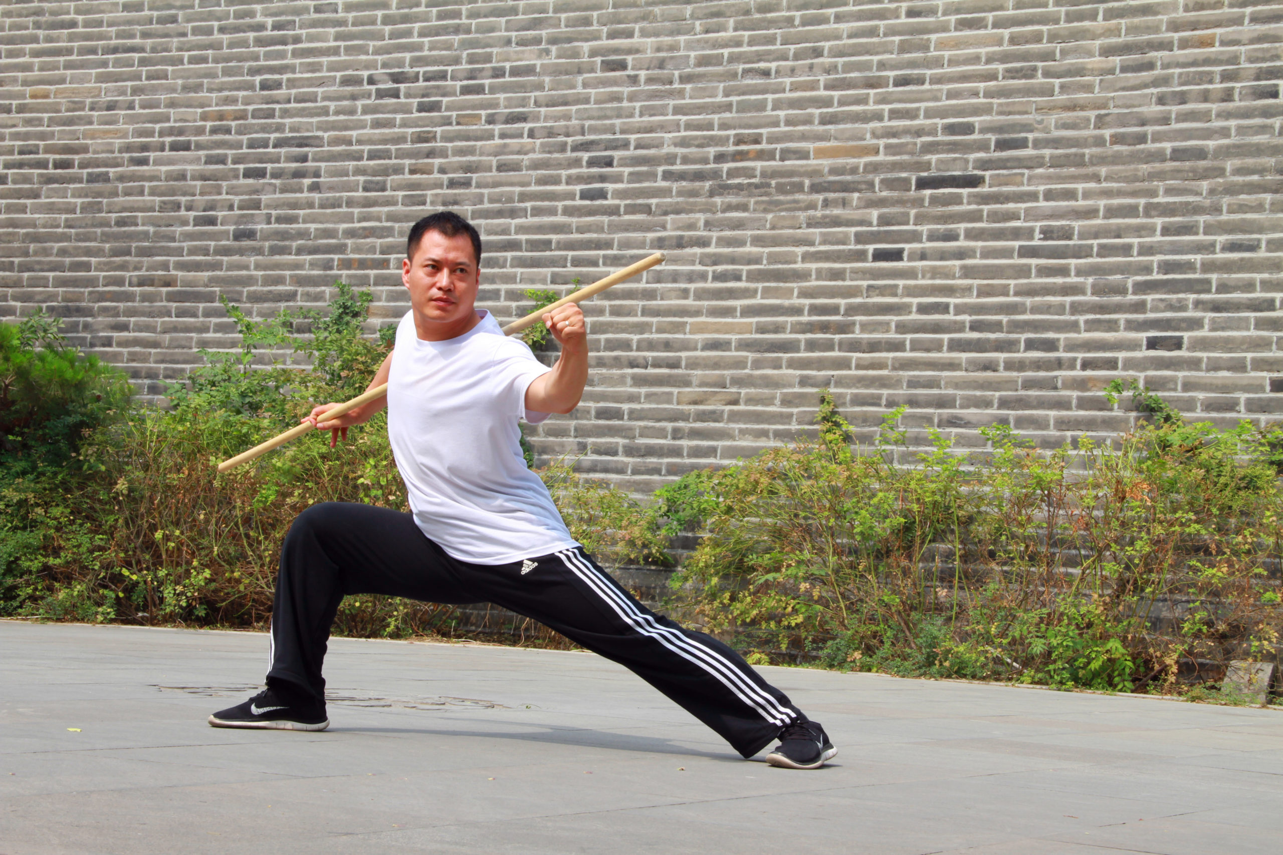 Al momento stai visualizzando Il Ba Ji Quan della An Wushu Kung Fu arriva in Italia : una Tradizione che continua