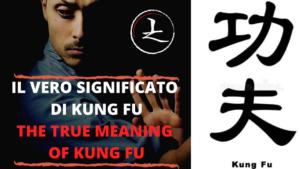 Scopri di più sull'articolo Conosci il VERO significato di Kung Fu ?